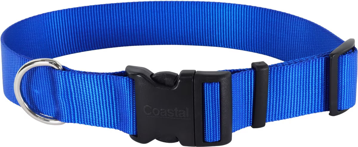 Coastal Pet Products Plastic Buckle Adjustable Dog Collar, Blue, Large: 18 to 26-in neck, 1.5-in wide