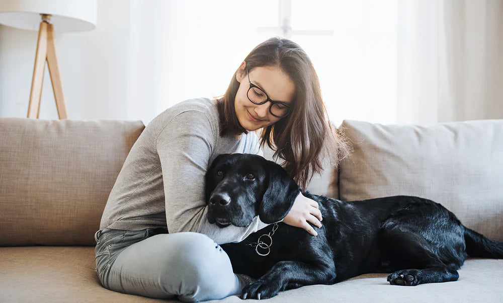 A Testament To Unconditional Love And Loyalty
